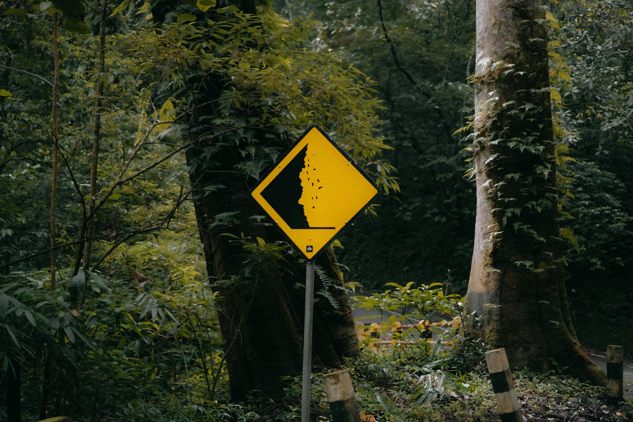 Landslide warning sign in lush green forest, Mojokerto, East Java.